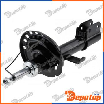 Amortisseur de suspension avant pour RENAULT | A-RE-038, 16-266230024
